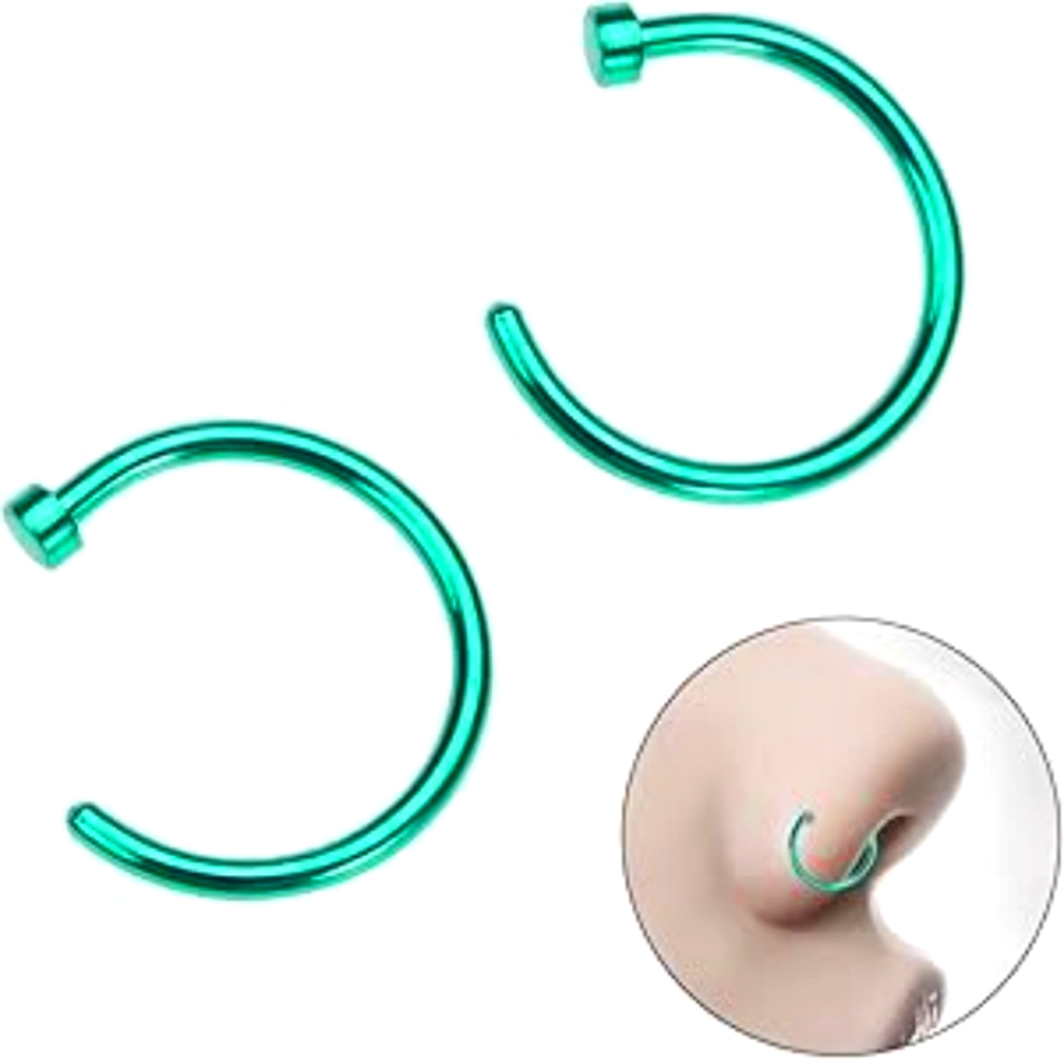 2 Nose Rings